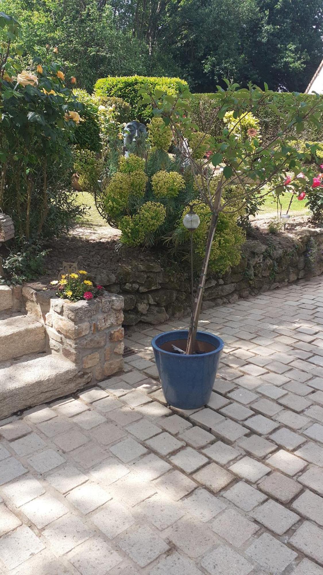 7 , Le Haut Montraye Pace  Ngoại thất bức ảnh